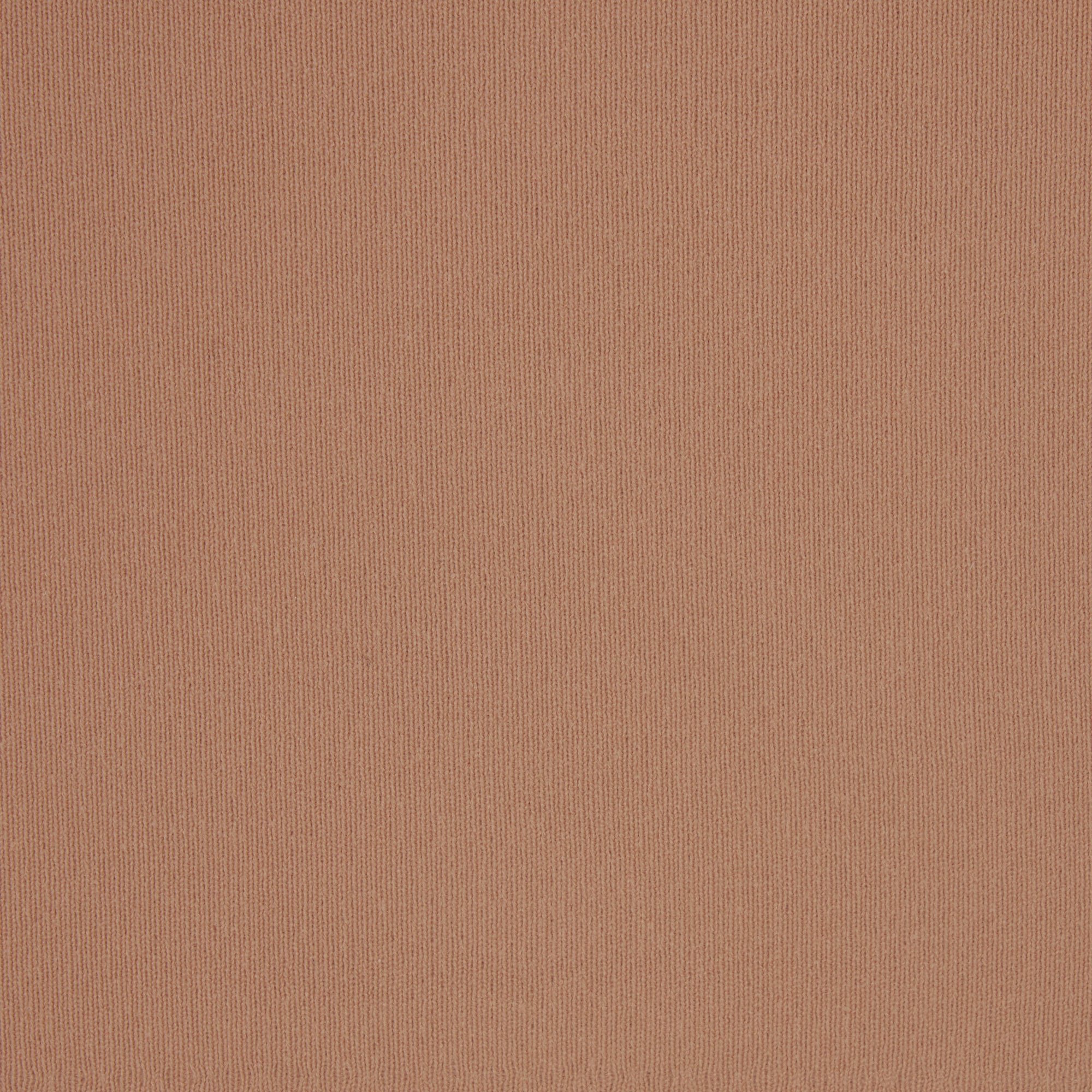 BANDEAU - Image 6